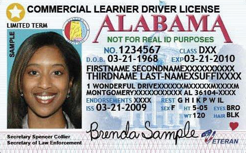 Driver License Parser Meaning